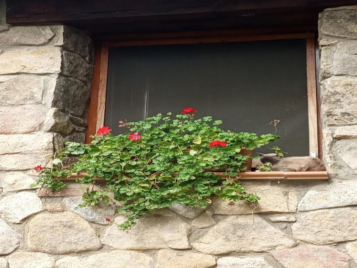 Naturaleza, Confort Y Vistas Inigualable En Casa Rural La Cumbre Gata Luaran gambar
