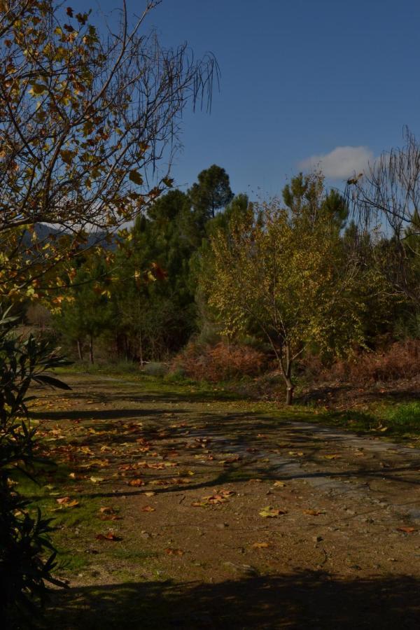 Naturaleza, Confort Y Vistas Inigualable En Casa Rural La Cumbre Gata Luaran gambar